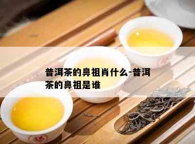 普洱茶的鼻祖肖什么-普洱茶的鼻祖是谁