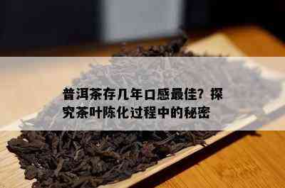 普洱茶存几年口感更佳？探究茶叶陈化过程中的秘密