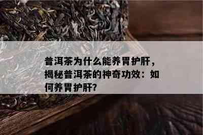 普洱茶为什么能养胃护肝，揭秘普洱茶的神奇功效：如何养胃护肝？