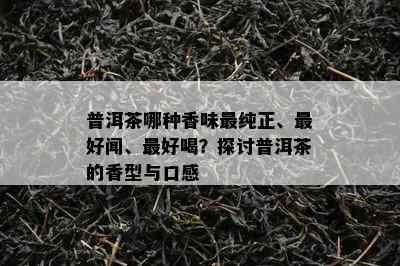 普洱茶哪种香味最纯正、更好闻、更好喝？探讨普洱茶的香型与口感