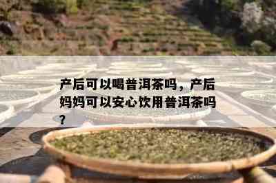 产后可以喝普洱茶吗，产后妈妈可以安心饮用普洱茶吗？