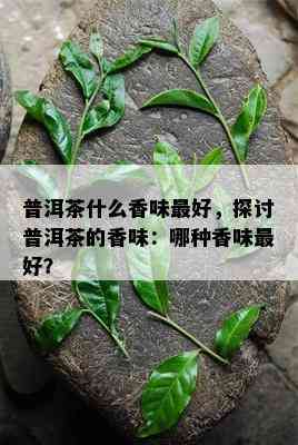 普洱茶什么香味更好，探讨普洱茶的香味：哪种香味更好？