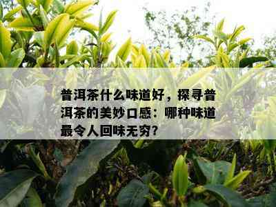 普洱茶什么味道好，探寻普洱茶的美妙口感：哪种味道最令人回味无穷？