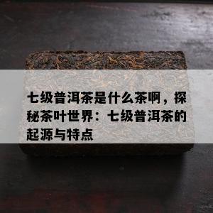 七级普洱茶是什么茶啊，探秘茶叶世界：七级普洱茶的起源与特点