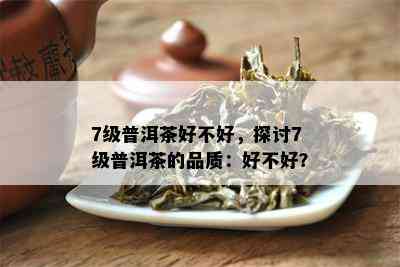 7级普洱茶好不好，探讨7级普洱茶的品质：好不好？