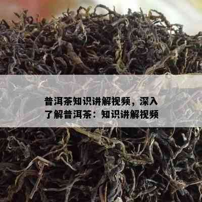 普洱茶知识讲解视频，深入了解普洱茶：知识讲解视频