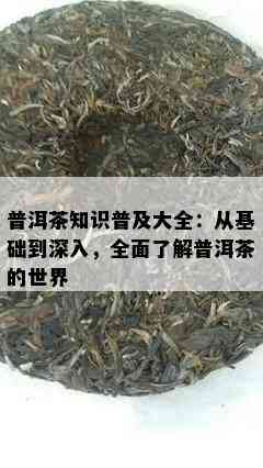 普洱茶知识普及大全：从基础到深入，全面了解普洱茶的世界