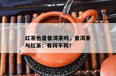 红茶也是普洱茶吗，普洱茶与红茶：有何不同？