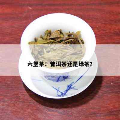 六堡茶：普洱茶还是绿茶？