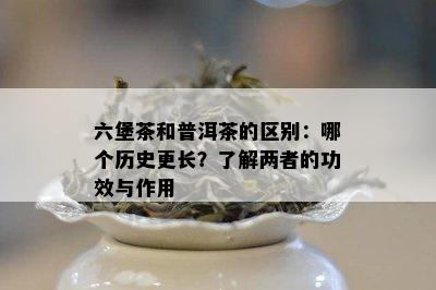 六堡茶和普洱茶的区别：哪个历史更长？了解两者的功效与作用