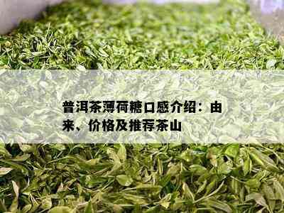 普洱茶薄荷糖口感介绍：由来、价格及推荐茶山