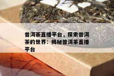 普洱茶直播平台，探索普洱茶的世界：揭秘普洱茶直播平台