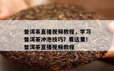 普洱茶直播视频教程，学习普洱茶冲泡技巧？看这里！普洱茶直播视频教程