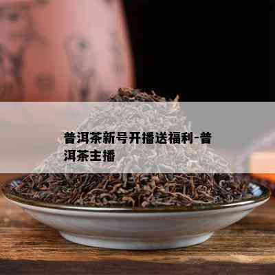 普洱茶新号开播送福利-普洱茶主播