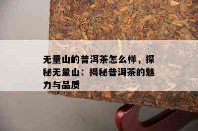 无量山的普洱茶怎么样，探秘无量山：揭秘普洱茶的魅力与品质