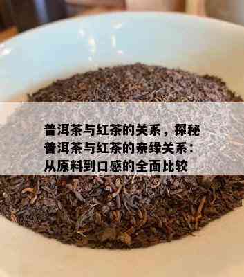 普洱茶与红茶的关系，探秘普洱茶与红茶的亲缘关系：从原料到口感的全面比较