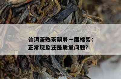 普洱茶熟茶飘着一层棉絮：正常现象还是质量问题？