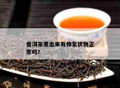 普洱茶煮出来有棉絮状物正常吗？