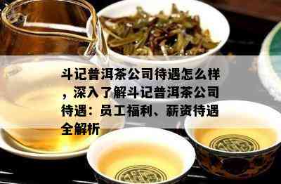 斗记普洱茶公司待遇怎么样，深入了解斗记普洱茶公司待遇：员工福利、薪资待遇全解析