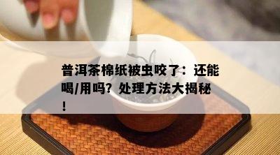 普洱茶棉纸被虫咬了：还能喝/用吗？处理方法大揭秘！