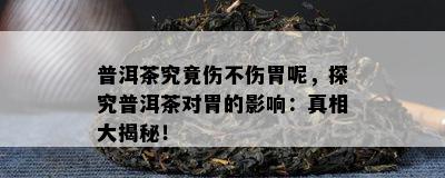 普洱茶究竟伤不伤胃呢，探究普洱茶对胃的影响：真相大揭秘！