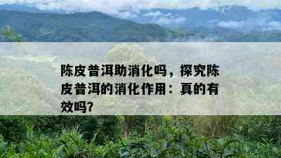 陈皮普洱助消化吗，探究陈皮普洱的消化作用：真的有效吗？