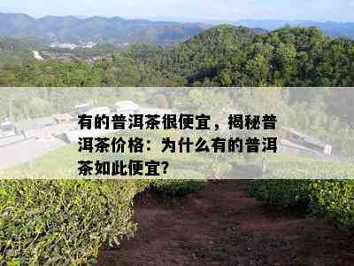 有的普洱茶很便宜，揭秘普洱茶价格：为什么有的普洱茶如此便宜？