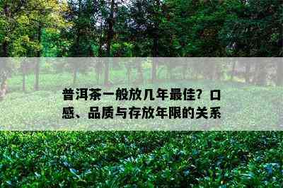 普洱茶一般放几年更佳？口感、品质与存放年限的关系