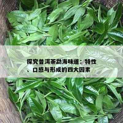 探究普洱茶勐海味道：特性、口感与形成的四大因素