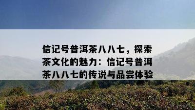 信记号普洱茶八八七，探索茶文化的魅力：信记号普洱茶八八七的传说与品尝体验