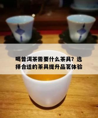 喝普洱茶需要什么茶具？选择合适的茶具提升品茗体验