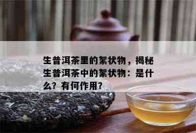 生普洱茶里的絮状物，揭秘生普洱茶中的絮状物：是什么？有何作用？