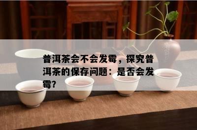 普洱茶会不会发霉，探究普洱茶的保存问题：是否会发霉？