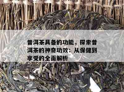 普洱茶具备的功能，探索普洱茶的神奇功效：从保健到享受的全面解析