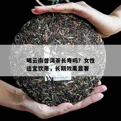 喝云南普洱茶长寿吗？女性适宜饮用，长期效果显著