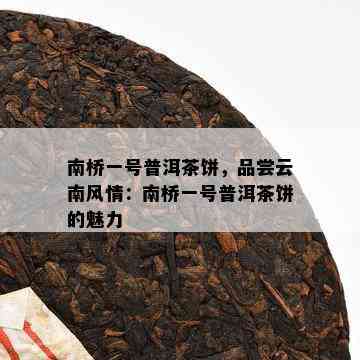 南桥一号普洱茶饼，品尝云南风情：南桥一号普洱茶饼的魅力