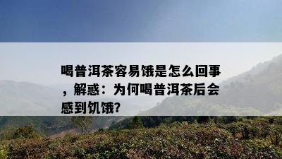 喝普洱茶容易饿是怎么回事，解惑：为何喝普洱茶后会感到饥饿？