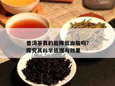 普洱茶真的能降低血脂吗？探究其科学依据与效果