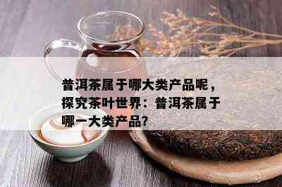 普洱茶属于哪大类产品呢，探究茶叶世界：普洱茶属于哪一大类产品？