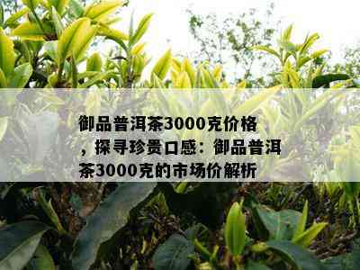 御品普洱茶3000克价格，探寻珍贵口感：御品普洱茶3000克的市场价解析