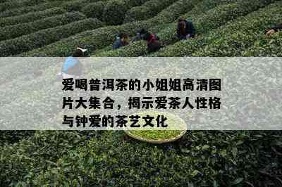 爱喝普洱茶的 *** 姐高清图片大集合，揭示爱茶人性格与钟爱的茶艺文化