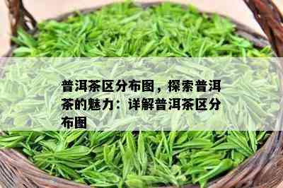 普洱茶区分布图，探索普洱茶的魅力：详解普洱茶区分布图