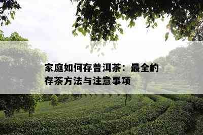 家庭如何存普洱茶：最全的存茶方法与注意事项