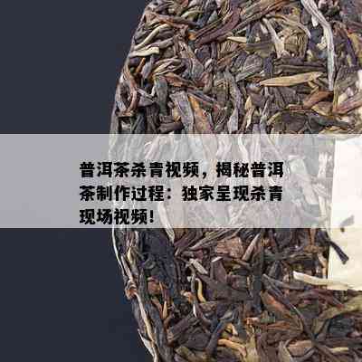 普洱茶杀青视频，揭秘普洱茶制作过程：独家呈现杀青现场视频！