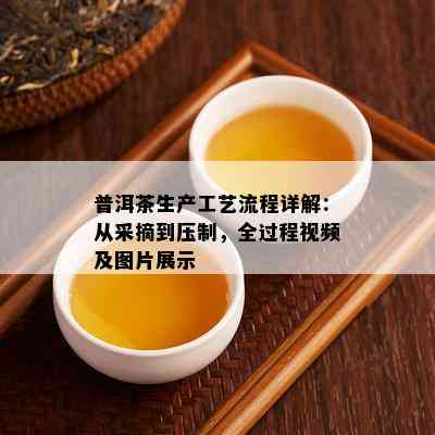 普洱茶生产工艺流程详解：从采摘到压制，全过程视频及图片展示