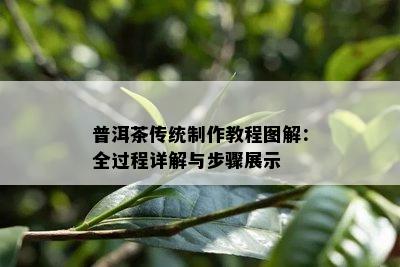 普洱茶传统制作教程图解：全过程详解与步骤展示