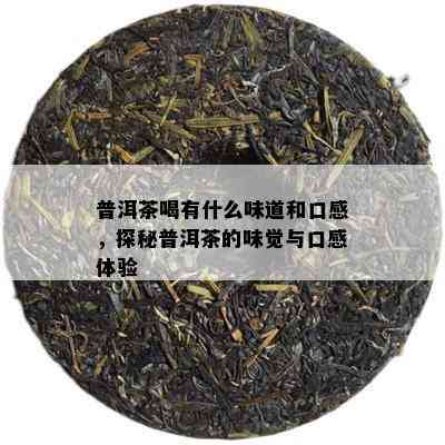 普洱茶喝有什么味道和口感，探秘普洱茶的味觉与口感体验