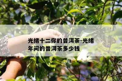 光绪十二你的普洱茶-光绪年间的普洱茶多少钱