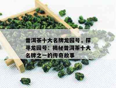 普洱茶十大名牌龙园号，探寻龙园号：揭秘普洱茶十大名牌之一的传奇故事