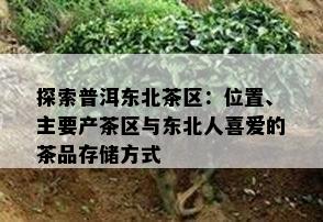 探索普洱东北茶区：位置、主要产茶区与东北人喜爱的茶品存储方式